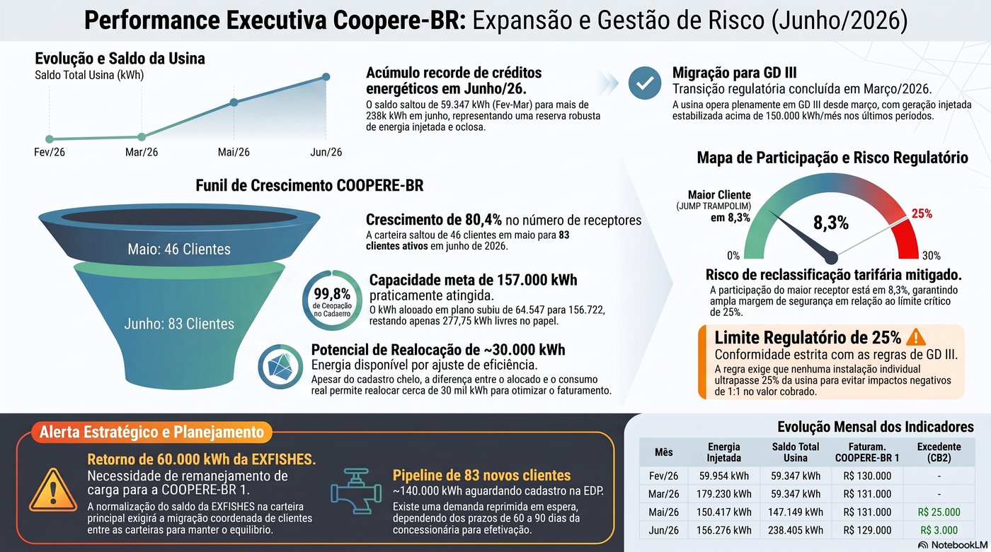 Relatório Executivo Coopere-BR Junho 2026